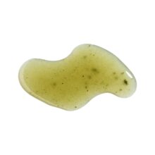 NDF Tummy - Image 2